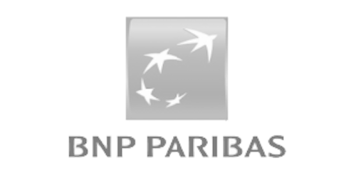 Logo bnp
