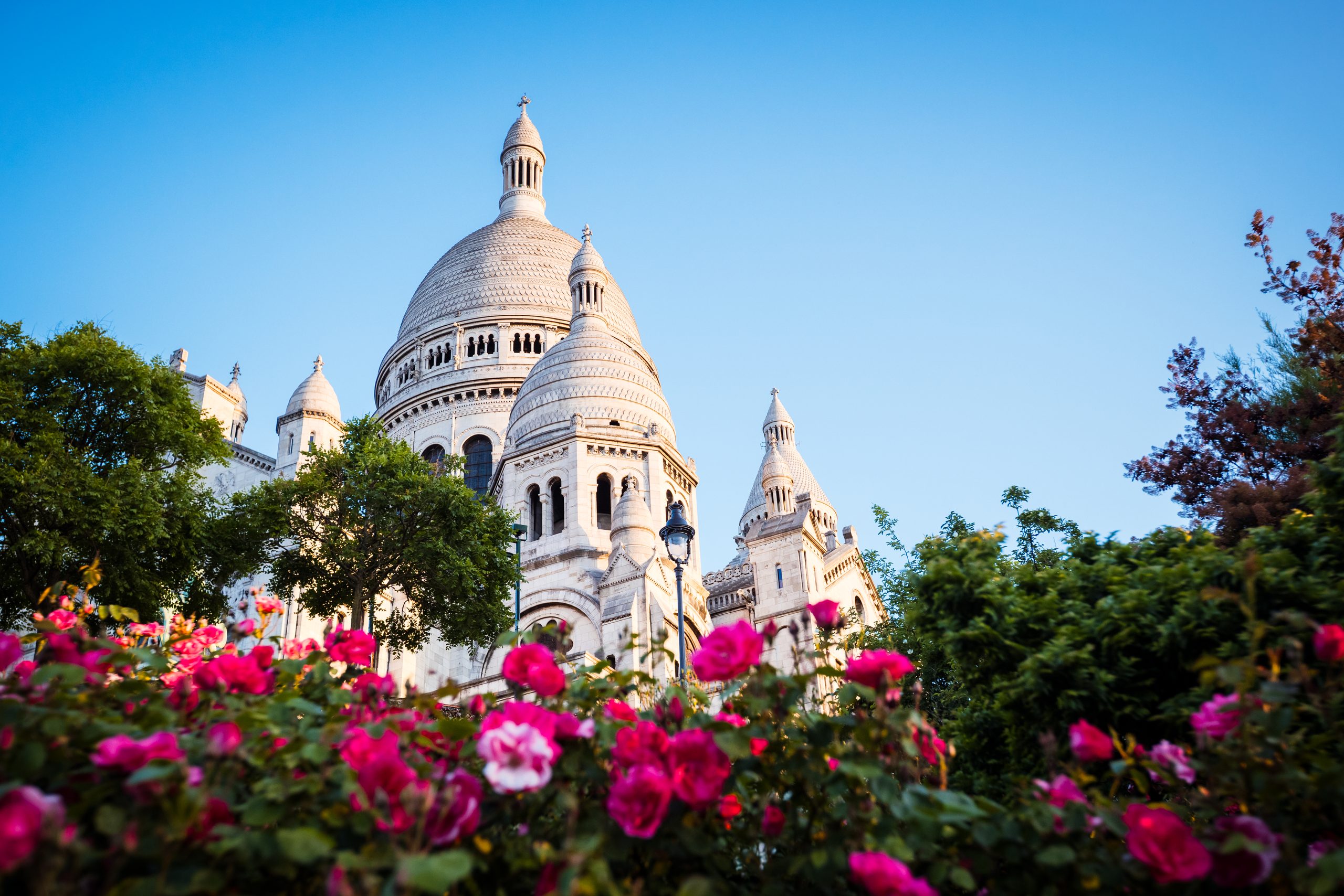 Sacré-Cœur de Montmartre avec parterre de fleurs au premier plan